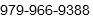 979-966-9388
